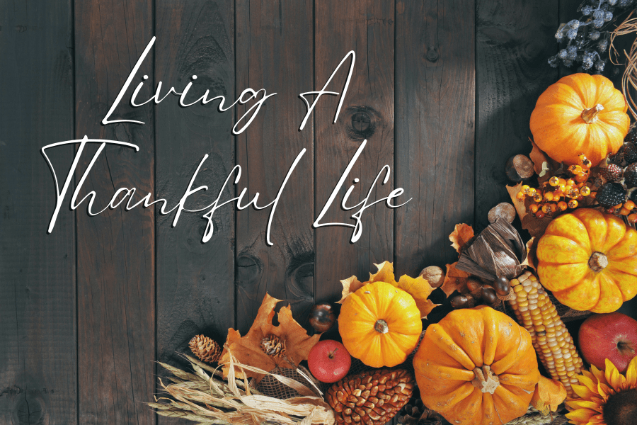 A fall table scape with the title of the November blog, "Living A Thankful Life".
