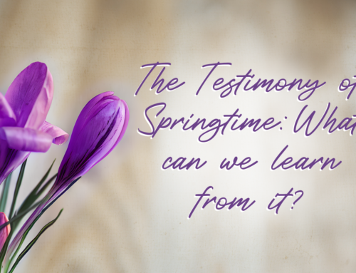 The Testimony of Springtime: What Can We Learn From It?
