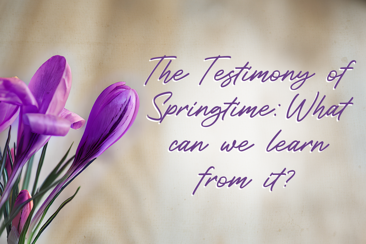 The Testimony of Springtime
